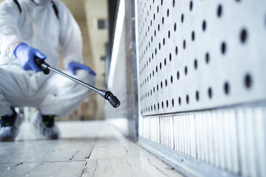Leading Pest Control Services in Salt Lake City and Their Methods